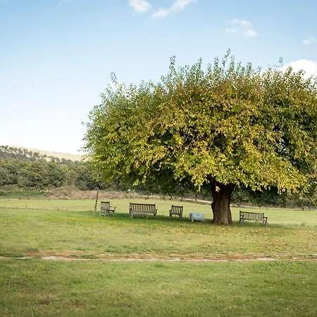 Poderaccio Agri Relais Apartments & Restaurant * Μπολσένα