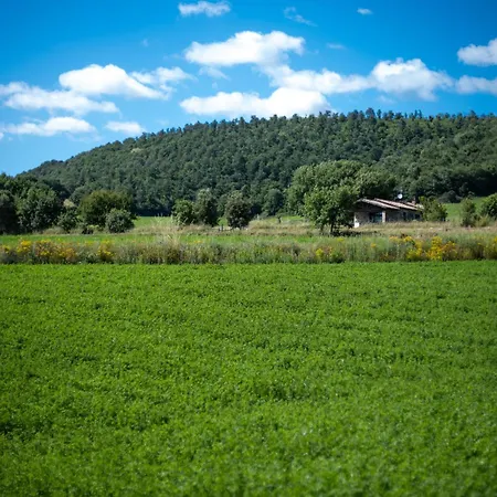 Poderaccio Agri Relais Apartments & Restaurant Κατάλυμα σε φάρμα