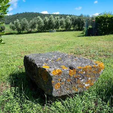 Poderaccio Agri Relais Apartments & Restaurant Κατάλυμα σε φάρμα *