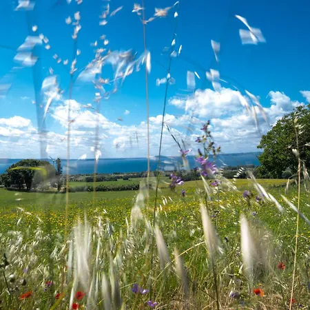Poderaccio Agri Relais Apartments & Restaurant Μπολσένα