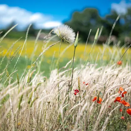 Poderaccio Agri Relais Apartments & Restaurant Κατάλυμα σε φάρμα