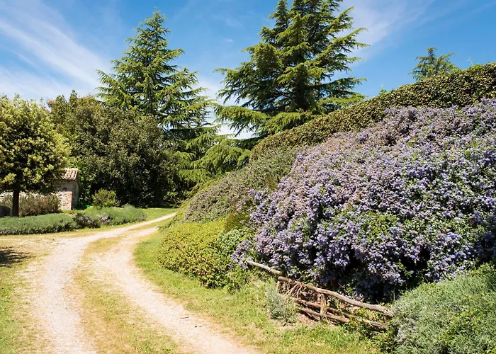 Vakantieboerderij Poderaccio Agri Relais & Ristorante Bolsena