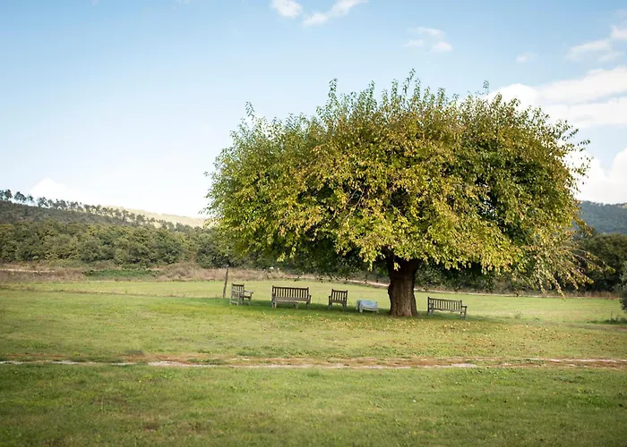 Poderaccio Agri Relais & Ristorante * Bolsena