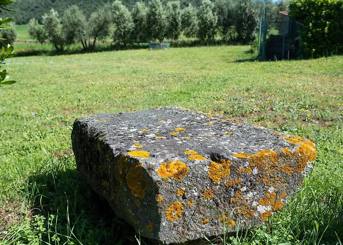 Poderaccio Agri Relais & Restaurant Di Фермерский дом *