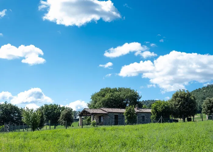 Фермерский дом Poderaccio Agri Relais & Restaurant Di Больсена