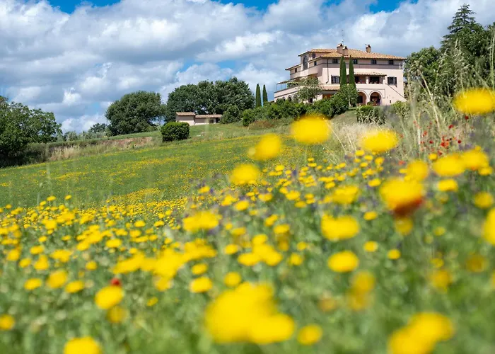 Vakantieboerderij Poderaccio Agri Relais & Ristorante *