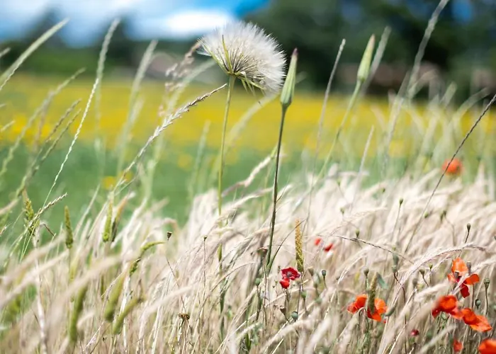 Poderaccio Agri Relais & Ristorante Vakantieboerderij