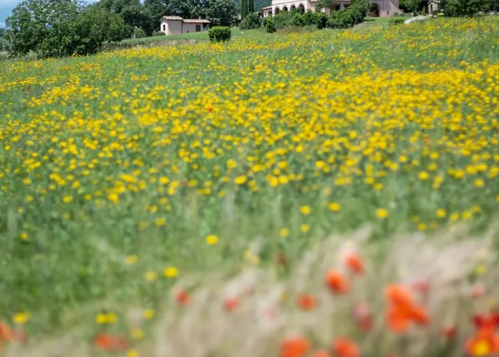 Farm stay Poderaccio Agri Relais & Ristorante Bolsena